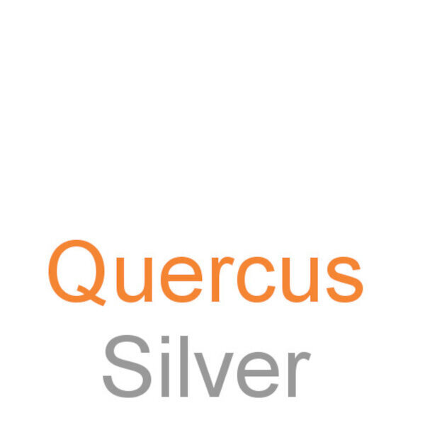 Quercus Silver logo
