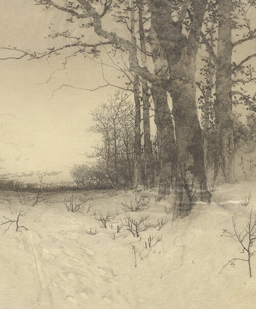 A bear coming out of his den, Russia