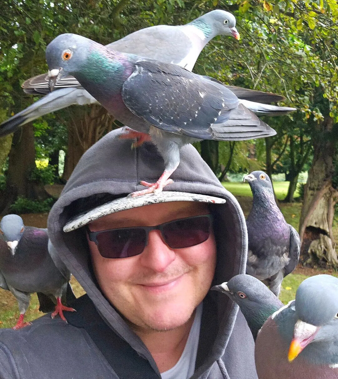 Carshalton Pigeon Man becomes Instagram Sensation