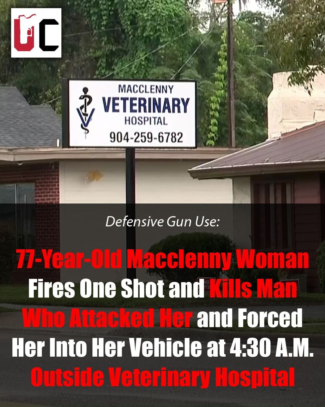 77-Year-Old Woman Out Feeding Stray Cats at 4:30 A.M. Shoots and Kills Man Who Pushed Her Into Her Car and Kept Assaulting Her Outside Macclenny Vet Hospital