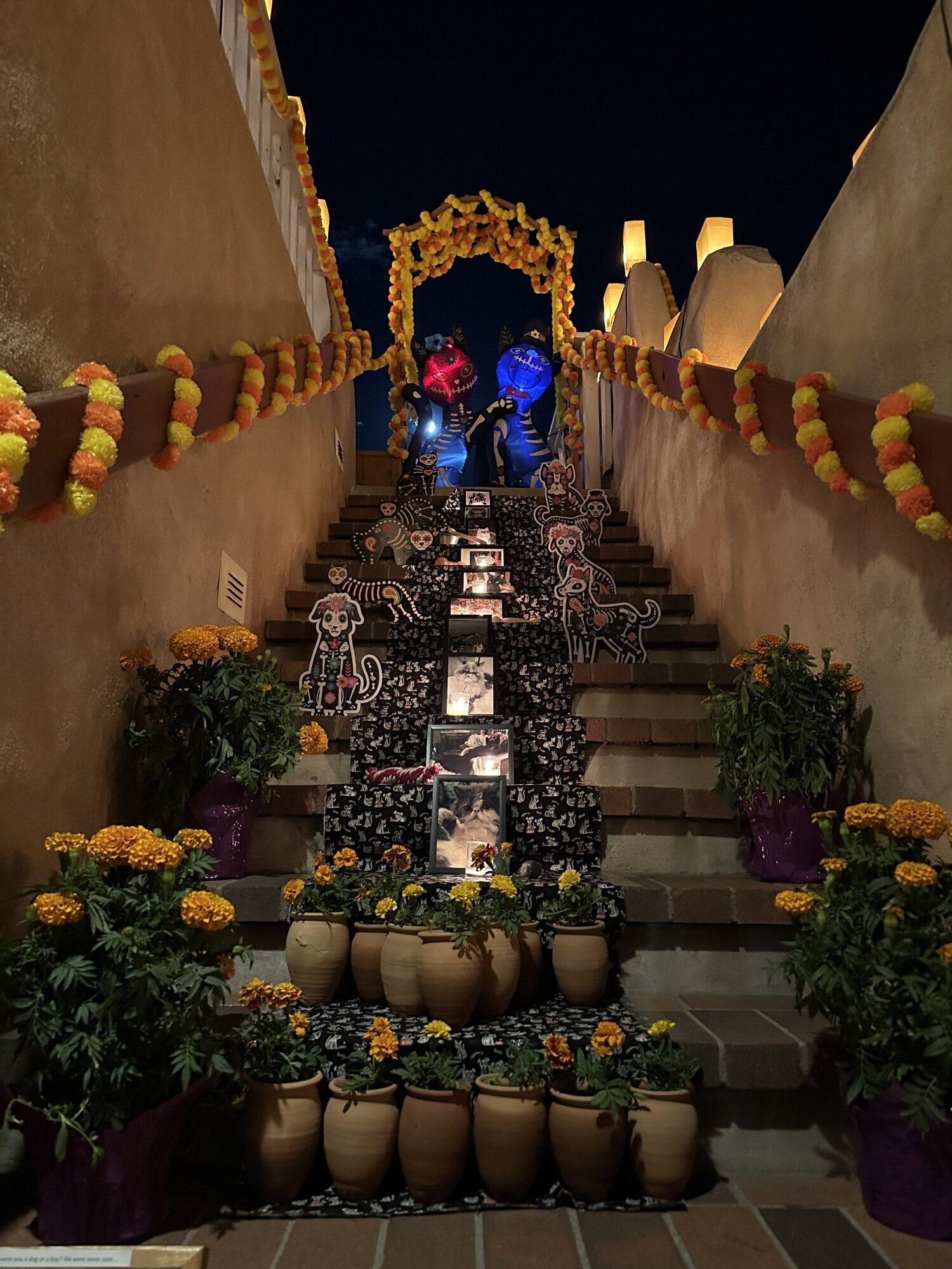 A pet themed ofrenda