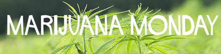 Marijuana Monday Newsletter logo