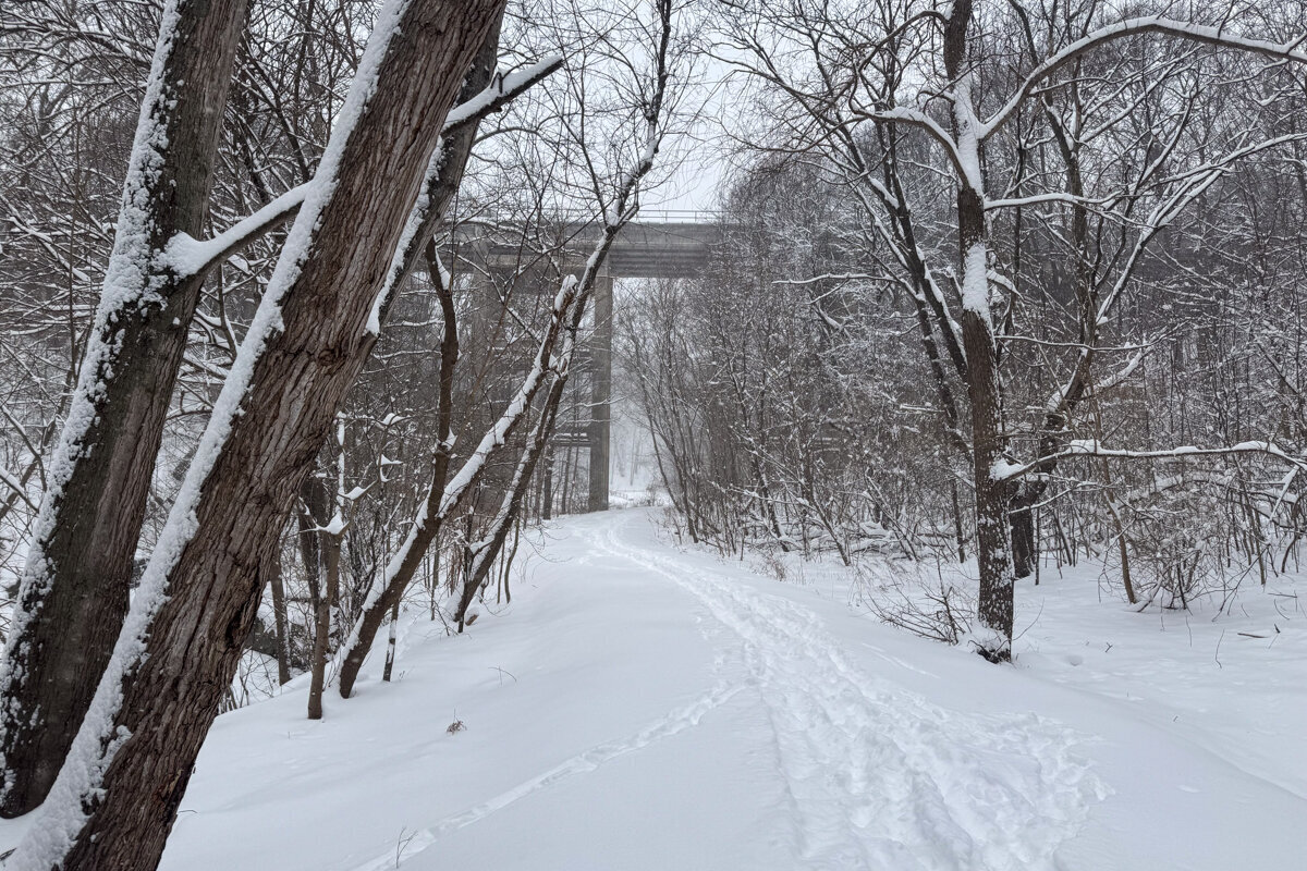 Snow-covered path through wooded area with large bridge in background