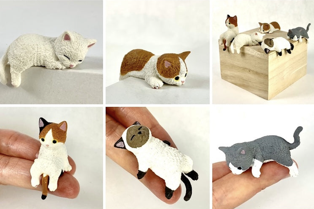 images of cat blind box toys