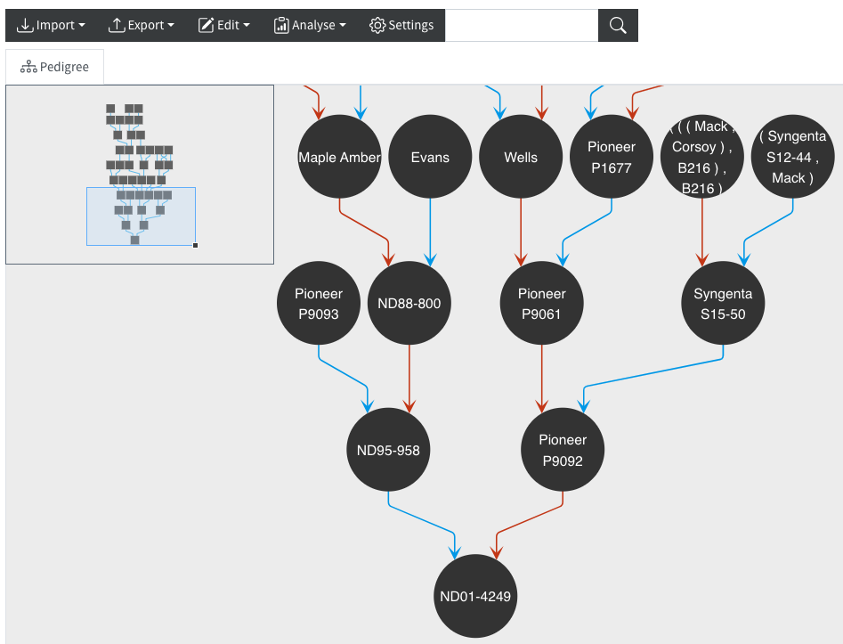 Pedigree Viewer