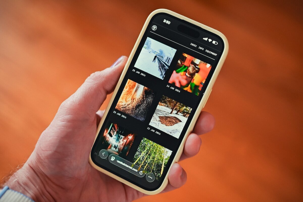 daily photos from ty