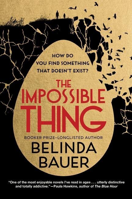 Book Cover: THE IMPOSSIBLE THING by Belinda Bauer