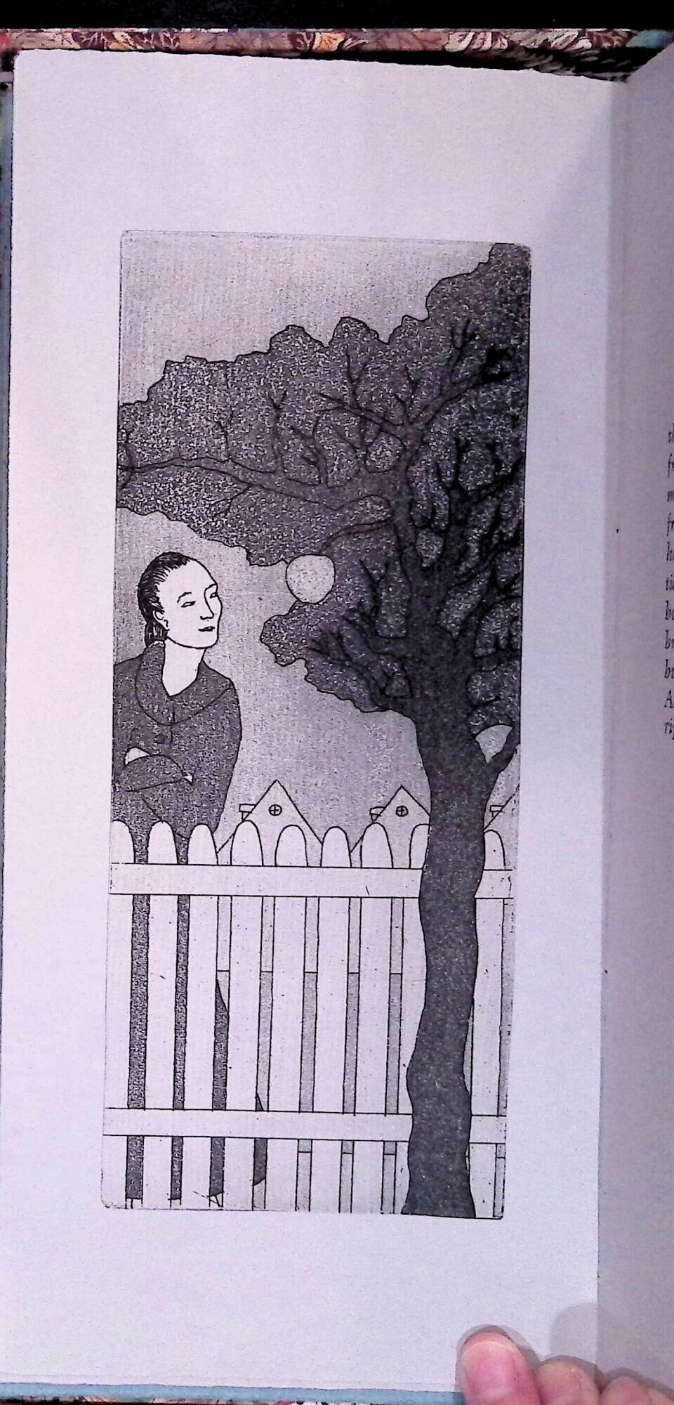 Illustration, THE SPINSTER, Audrey Niffeneger