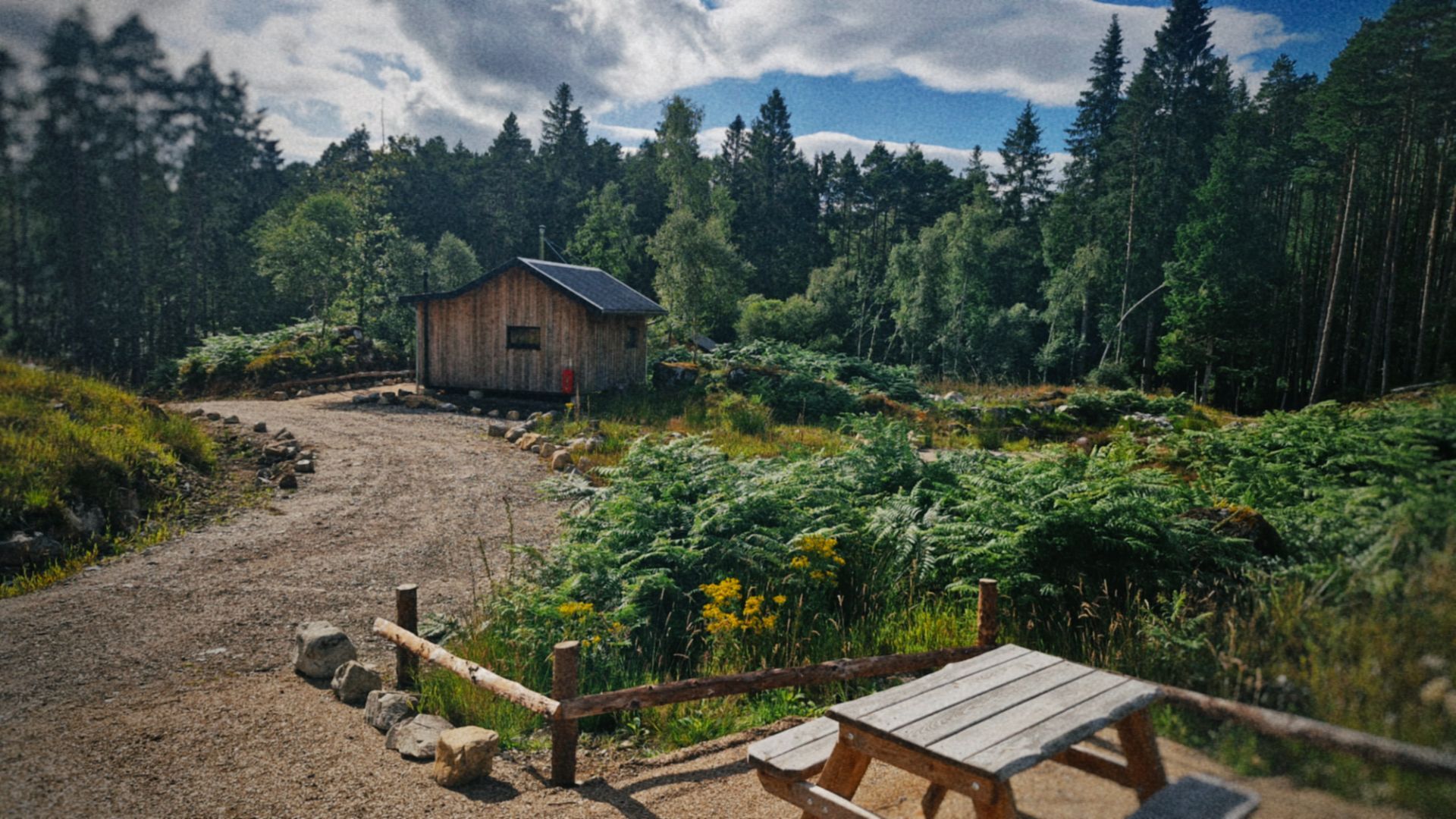 Cabin view at Glengarry Forest Cabins, with trees and a picnic bench in view.