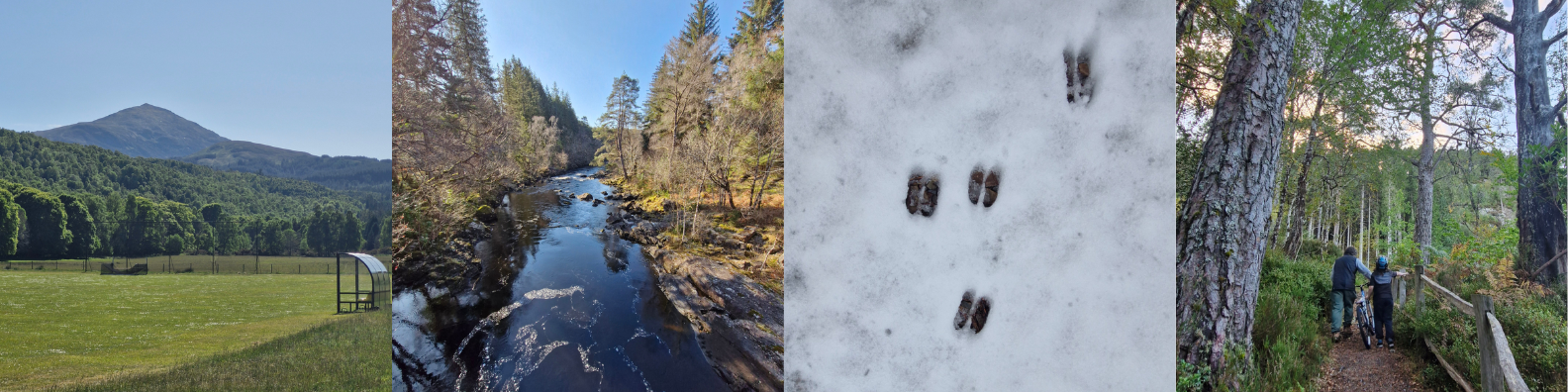 Images from around Glengarry, Ben Tee and the Shinty Field, River Garry, deer tracks, walking in Glengarry.