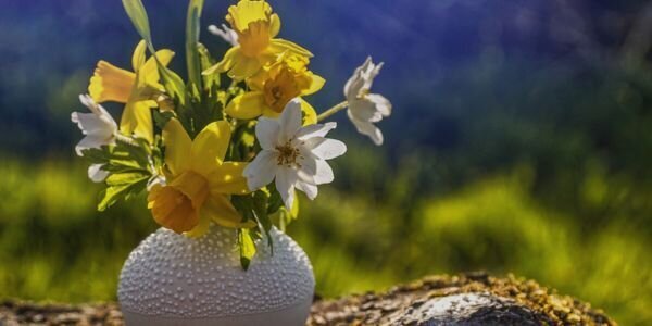 Daffodils and lilies in vase