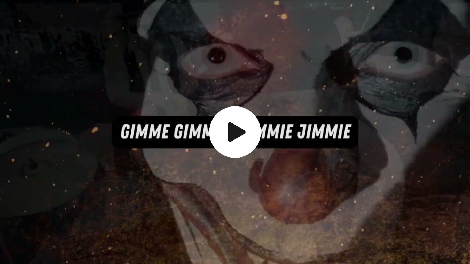 Sugar Rats - Jimmie Jimmie (Pollymimic 2026)