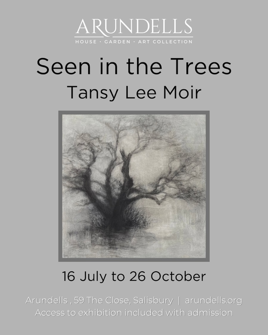 Solo show in Salisbury