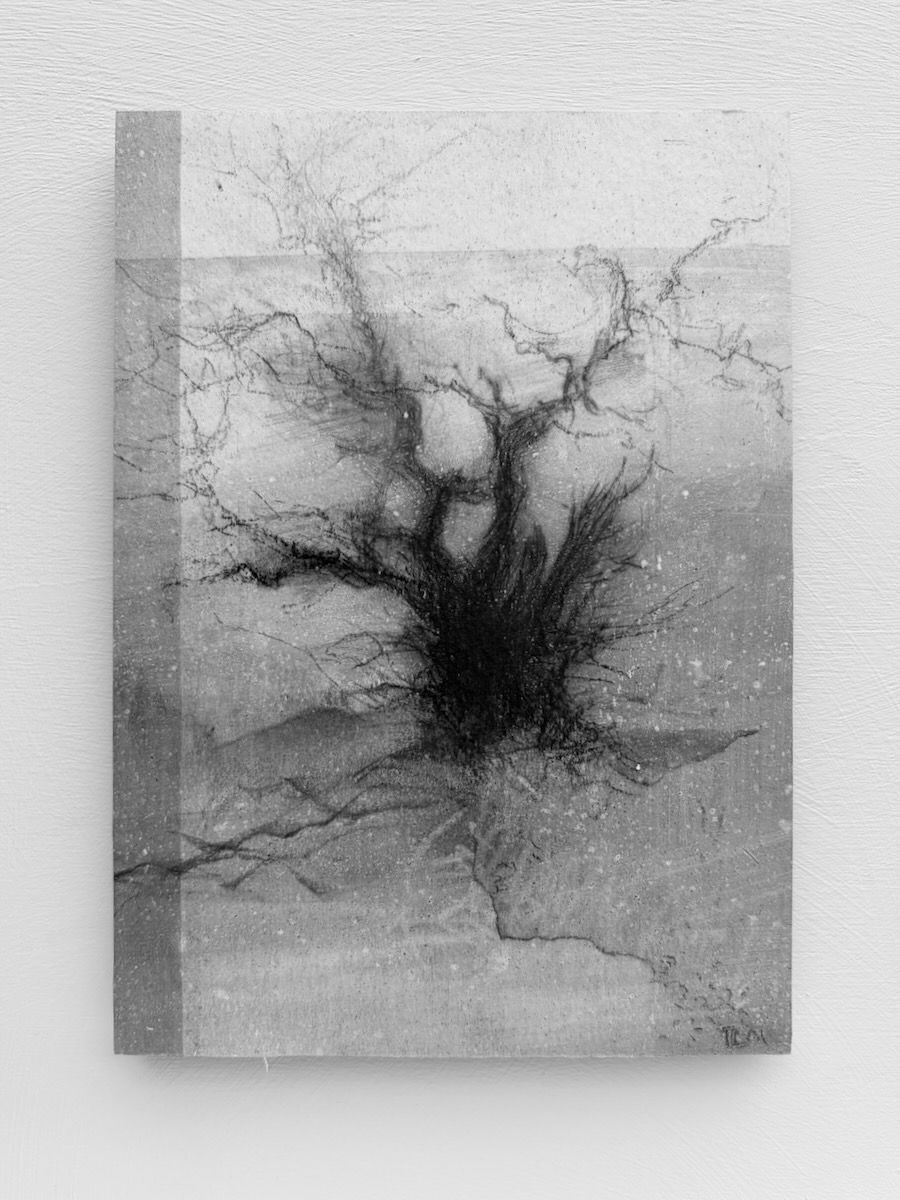 'Alder glimpses I' auctioned for the ATF