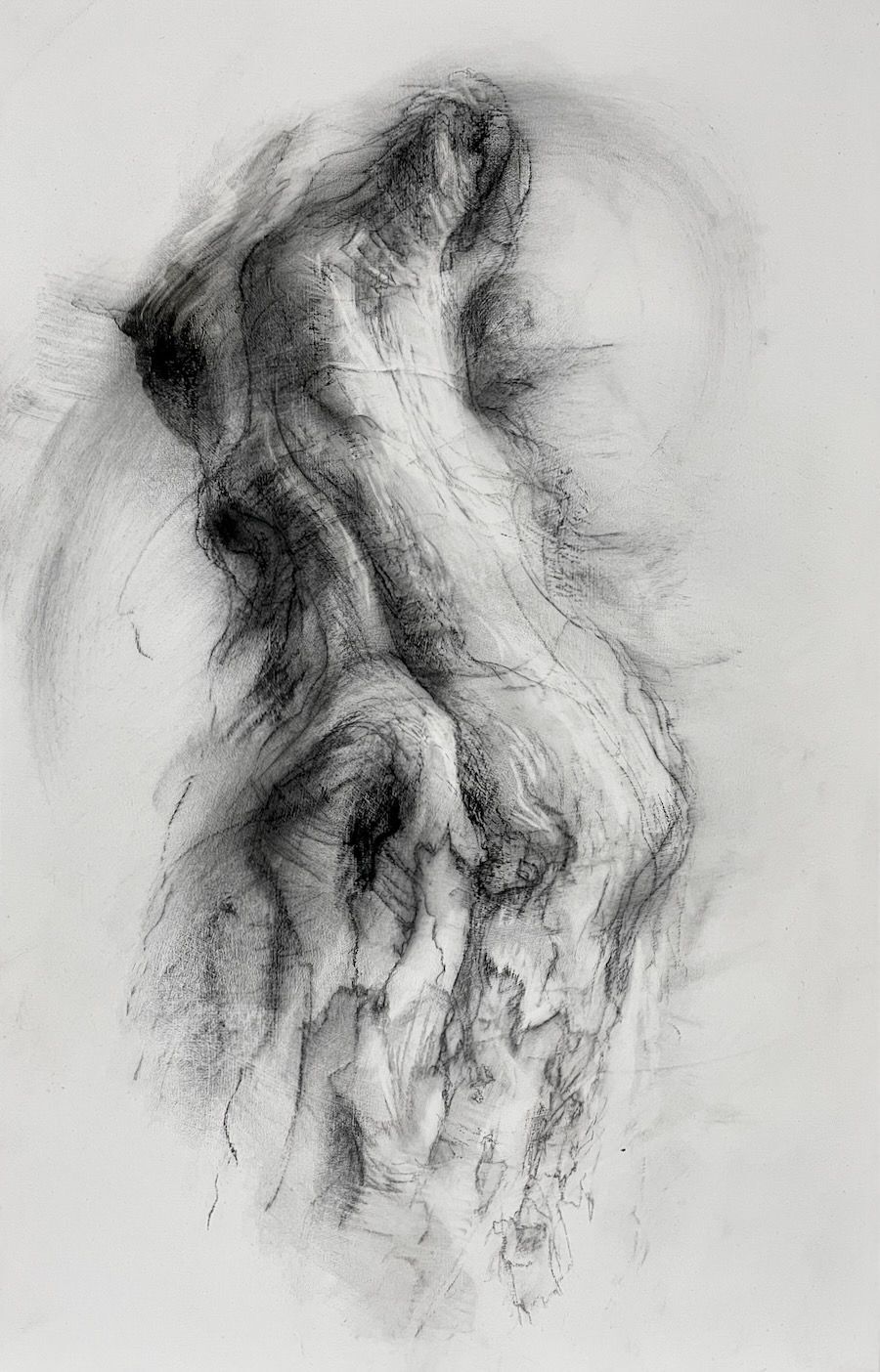 'Transmuted', charcoal on wood panel
