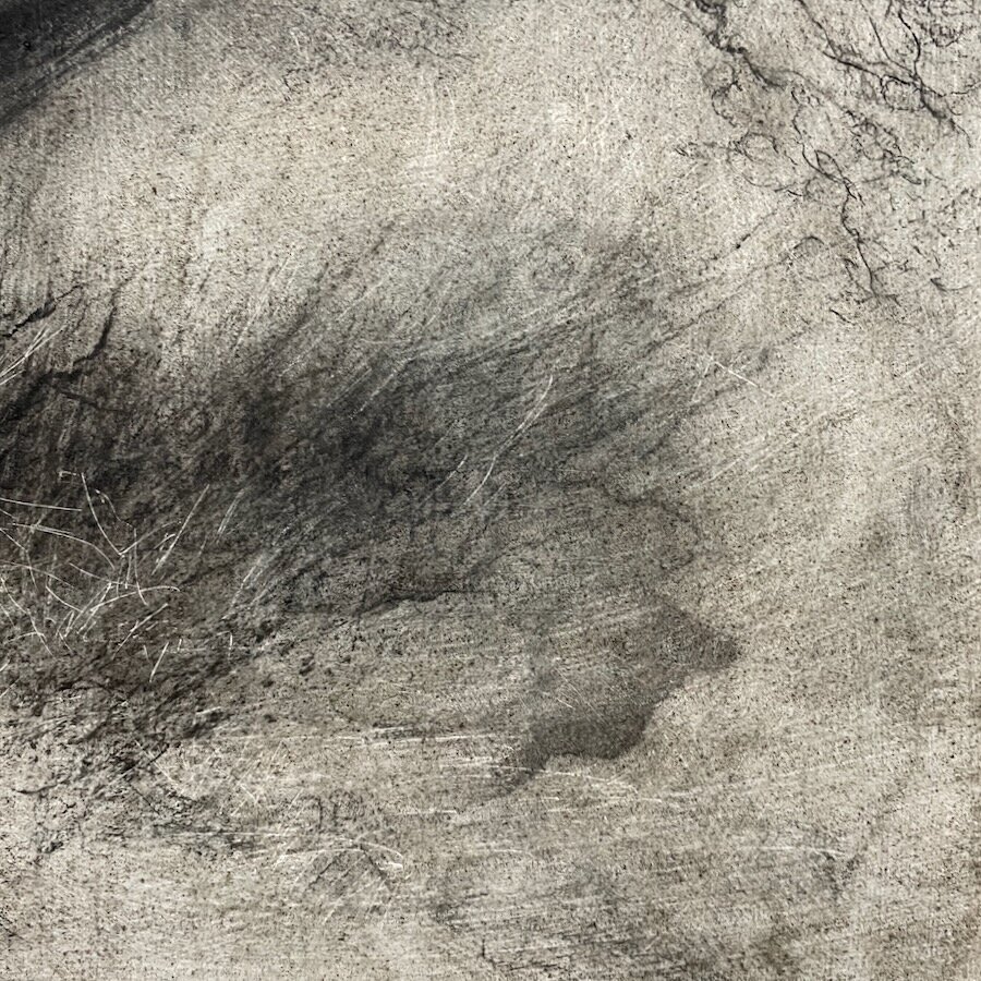 Aldery detail 1