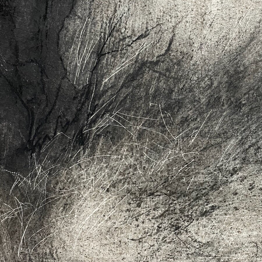 Aldery detail 2