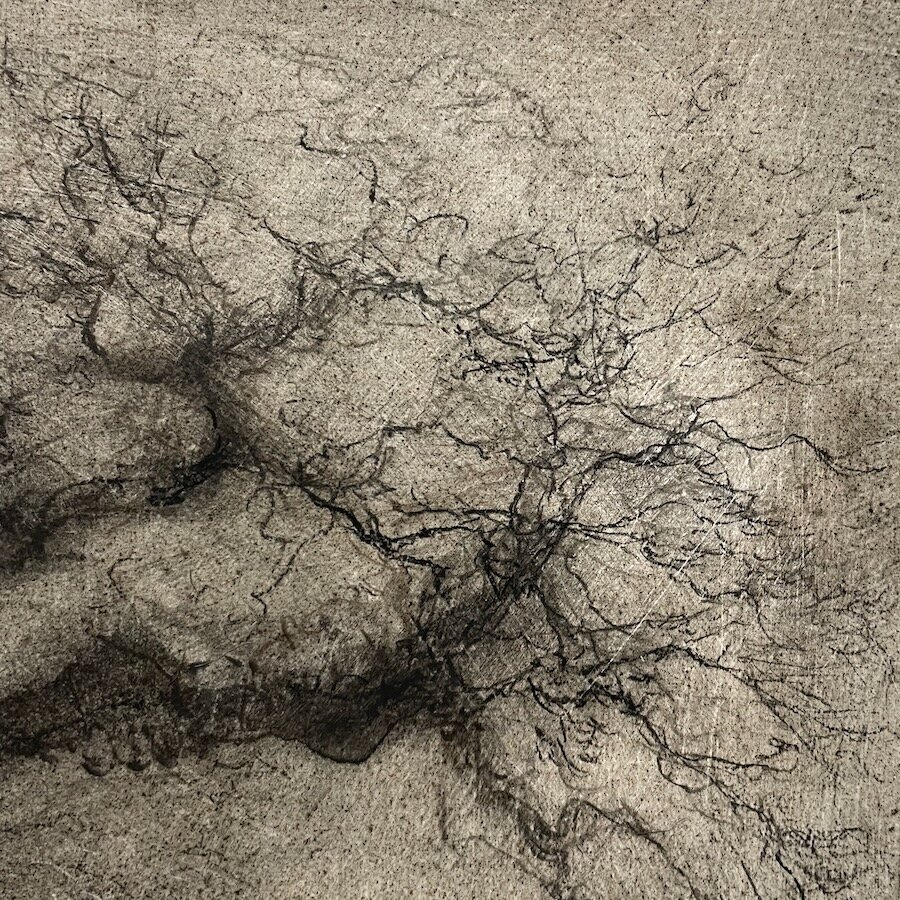 Aldery detail 3