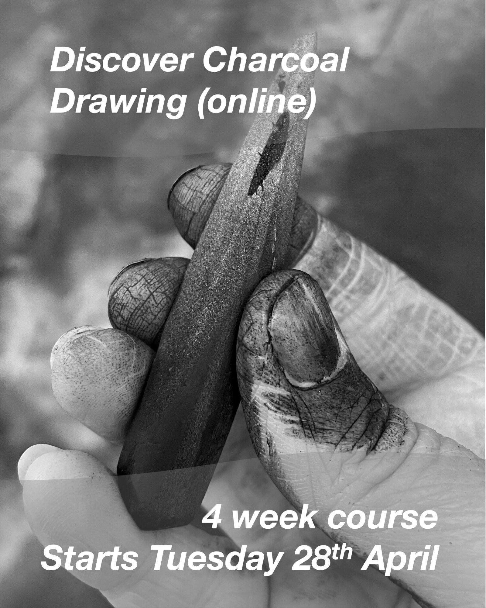 New online charcoal drawing course 