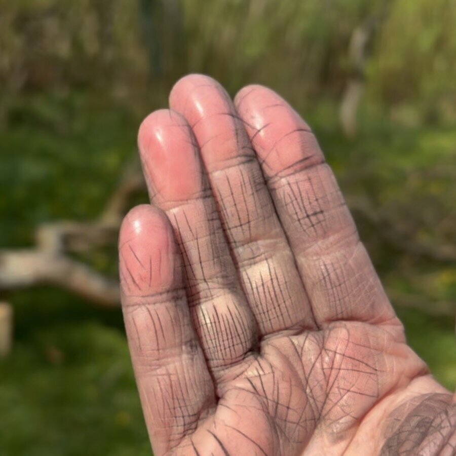 The abrasive effects of charcoal