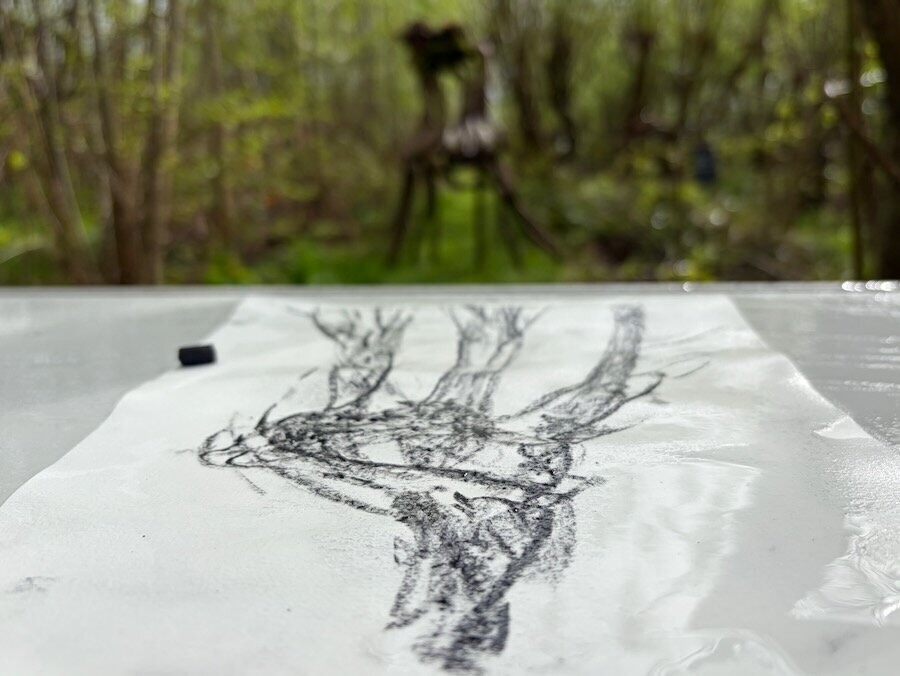 Drawing becomes painting