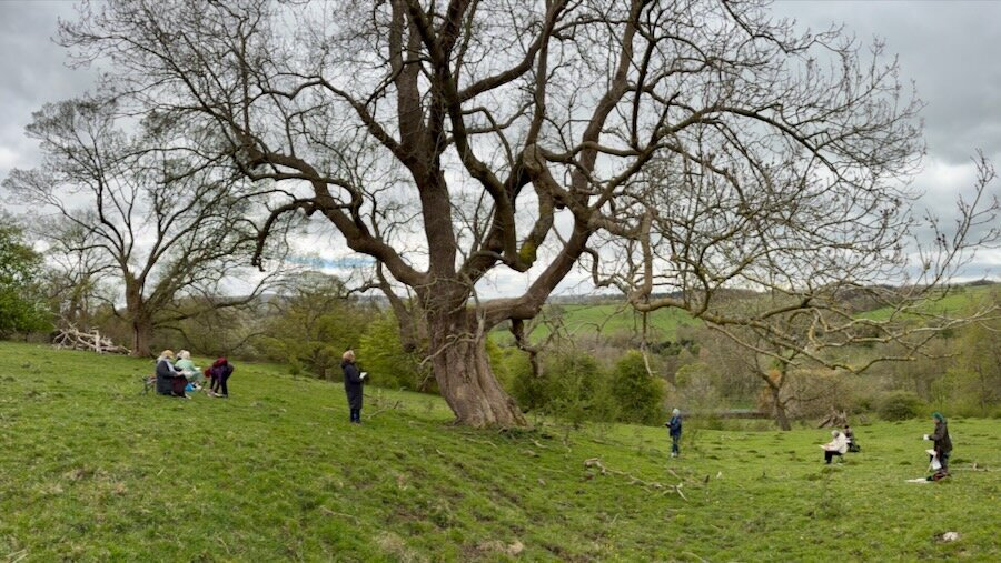 Workshop group under the boughs