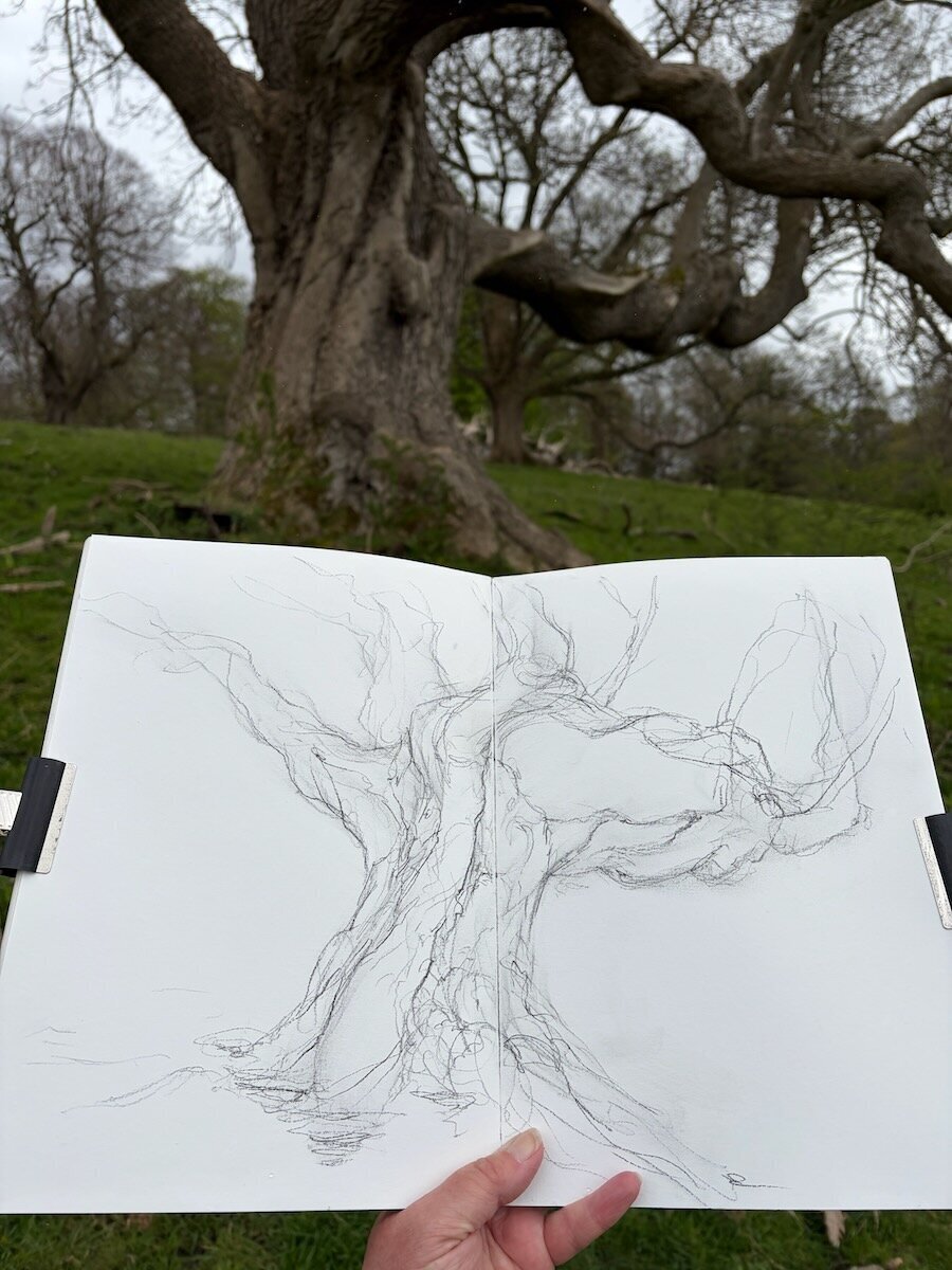Drawing the outstretched ash