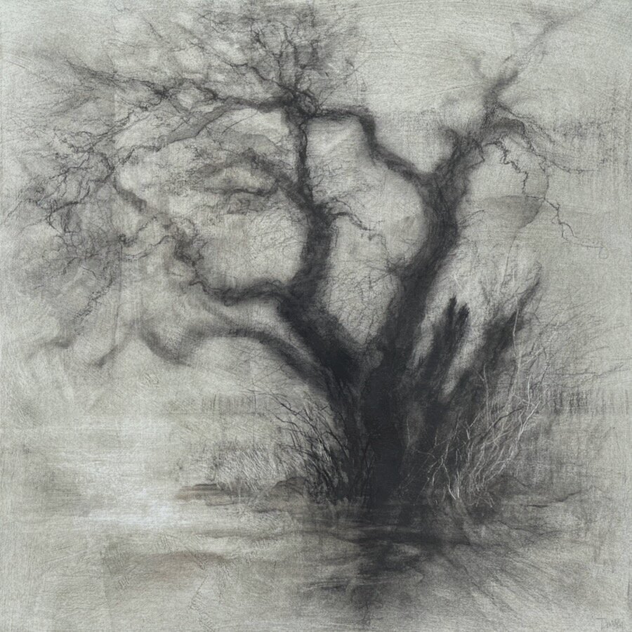 'On the brim' 2026 Mixed media 50 x 50cm