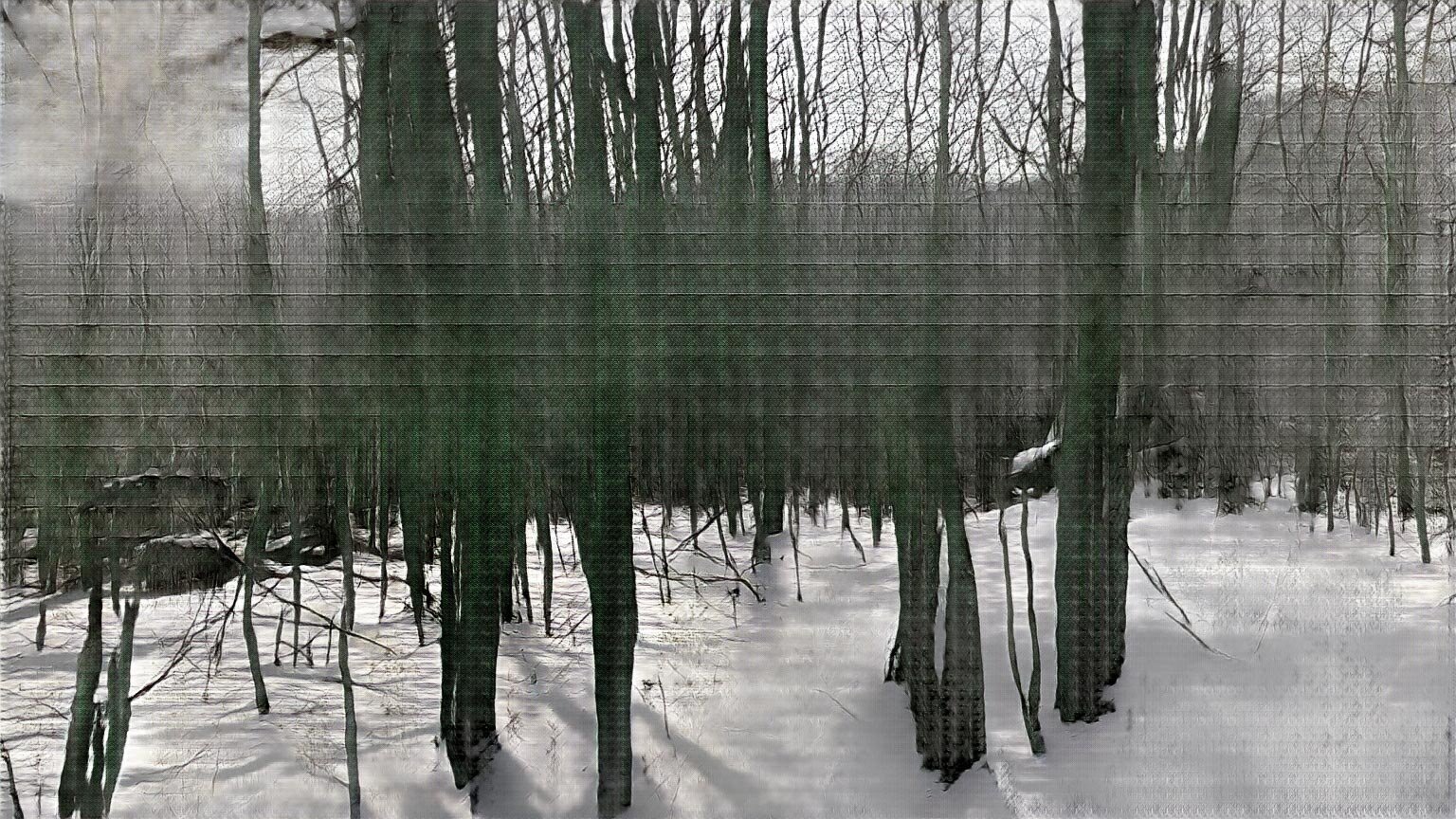 Winter Woods