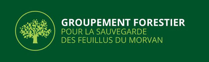 Exemple de logo