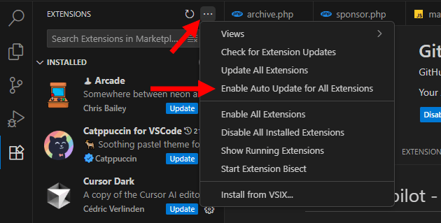 Auto Updating All Extensions in VS Code