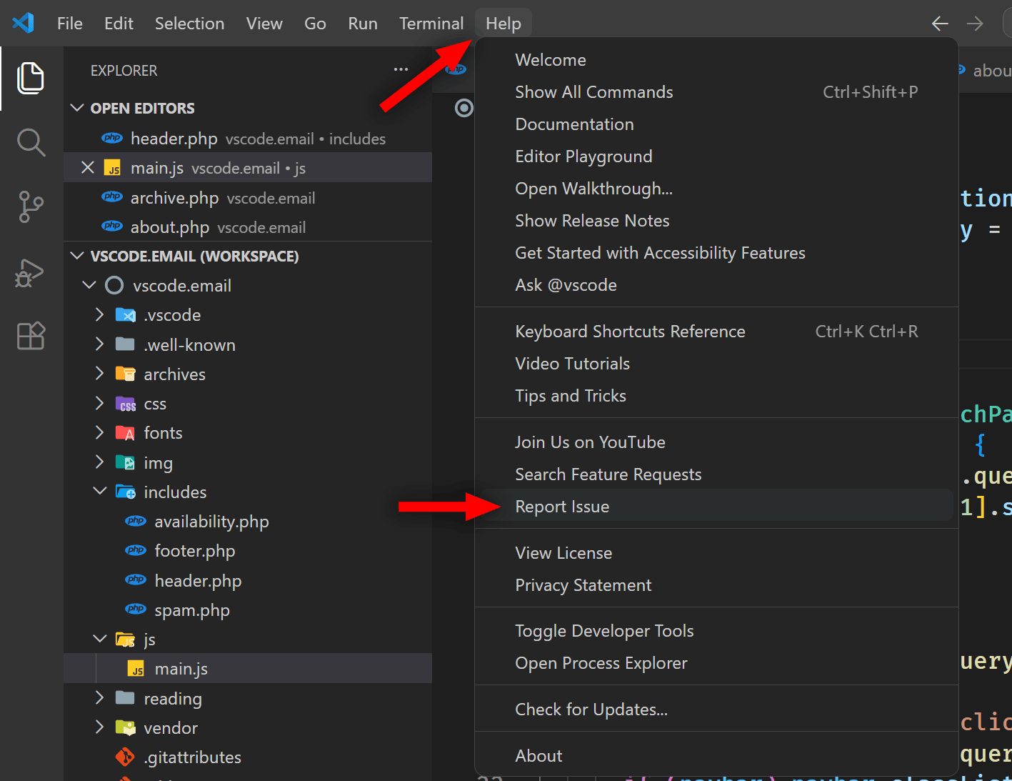 VSCode.Email Issue #203 (Reporting an Issue in VS Code)