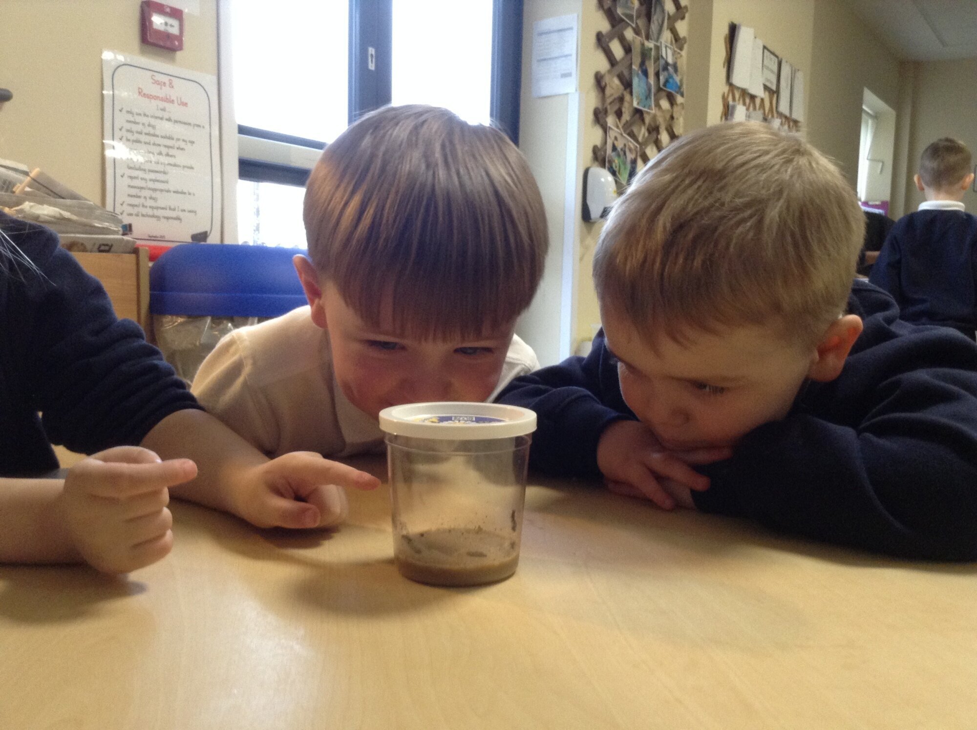 Two boys looking at a caterpillar in a jar