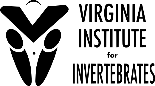 Example logo