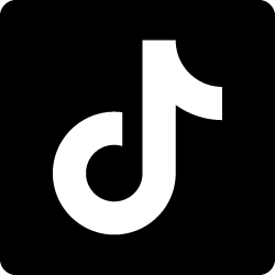 tiktok social link